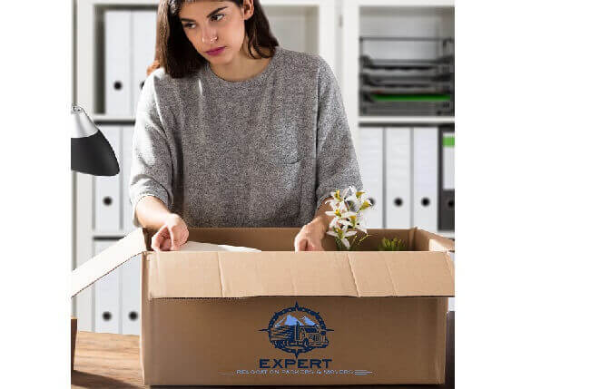 Packers and Movers Kothrud Pune